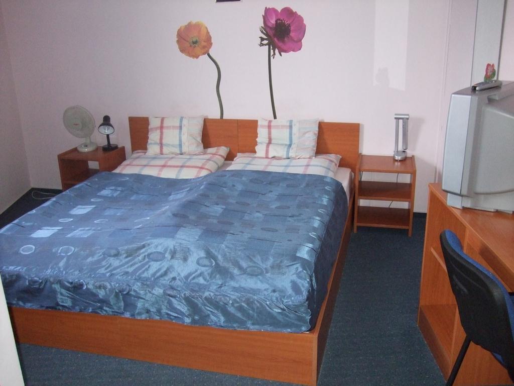 Timarhaz Panzio Bed & Breakfast Szeged Bilik gambar
